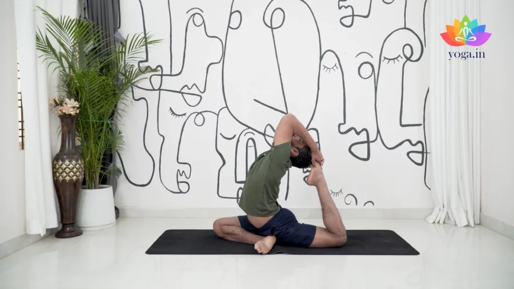 Discover 72 Rajakapotasana