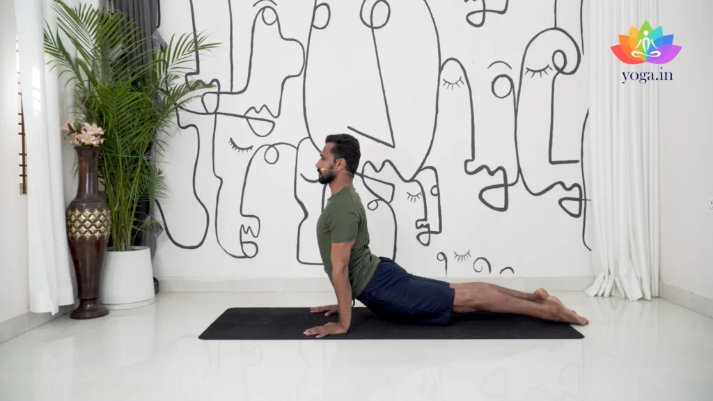 Discover 74 Urdhva Mukha Svanasana