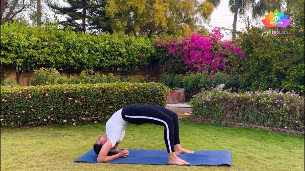 Discover 73 Viparita Dandasana