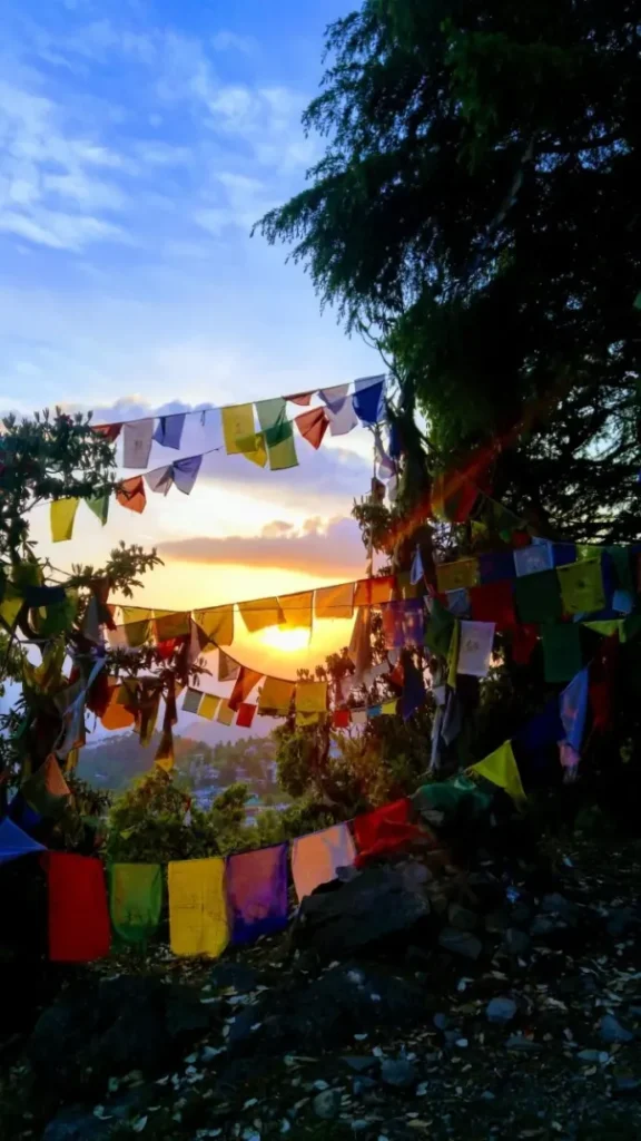 dharamkot